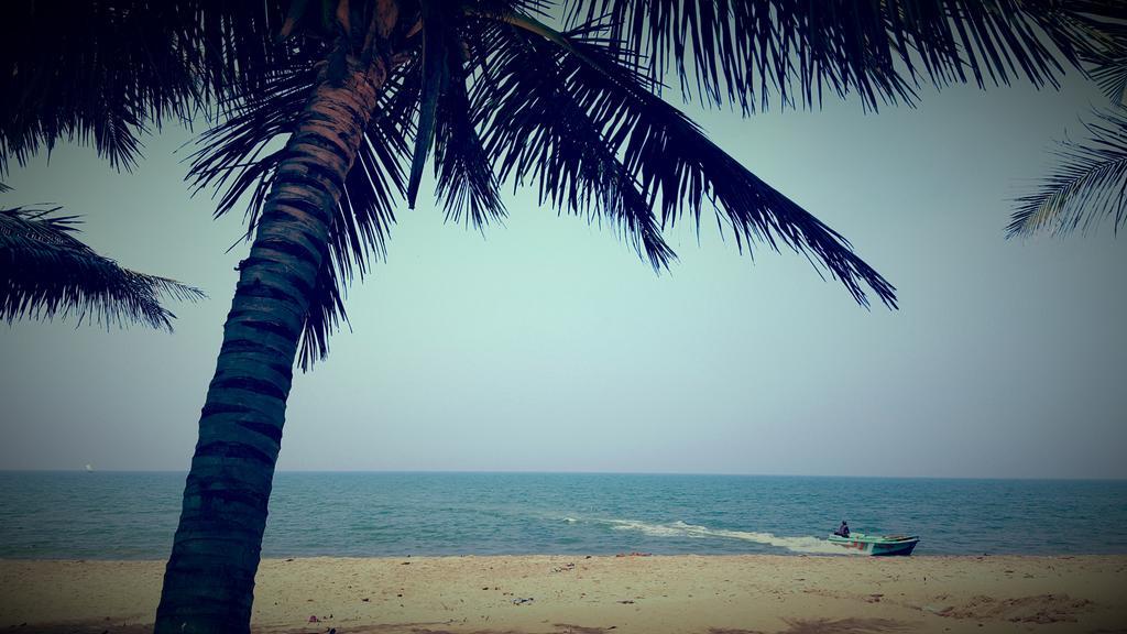 Anicia Beach House Negombo Dış mekan fotoğraf