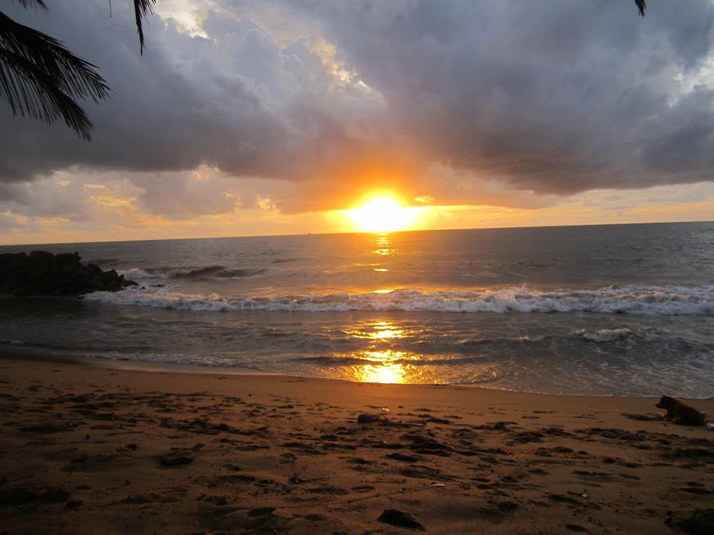 Anicia Beach House Negombo Dış mekan fotoğraf
