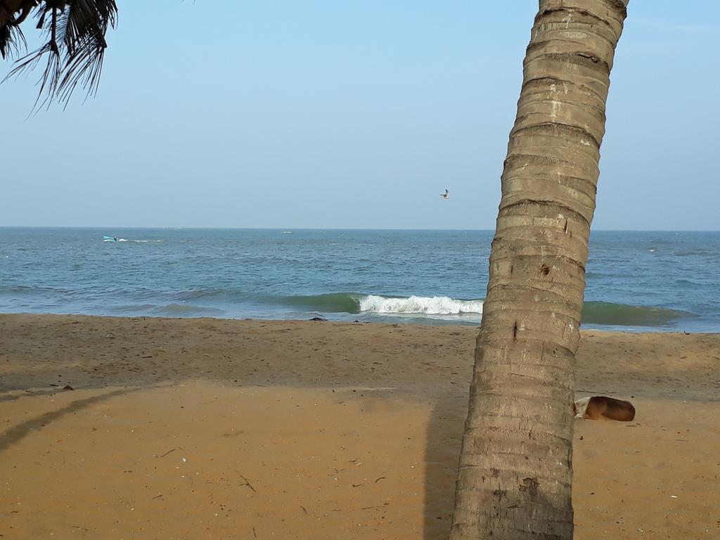 Anicia Beach House Negombo Dış mekan fotoğraf